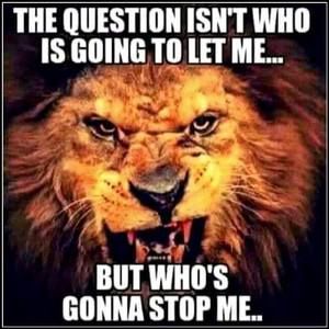 Meet your Posher, Amie